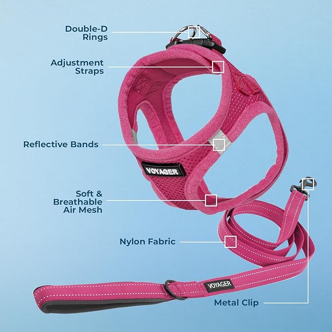 Best Pet Supplies Voyager Step-in Air All Weather Mesh Harness and Reflective Dog 5ft Leash Combo with Neoprene Handle, for Small, Medium and Large Breed Puppies - Set (Fuchsia), X-Large