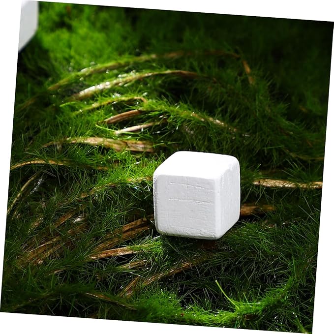 30pcs Natural Calcium Blocks for Reptiles and Amphibians Multi-Species Turtle Tortoise Frog Lizard Chameleon Supplement Teeth Grinding Aid Promotes Growth and Water Quality