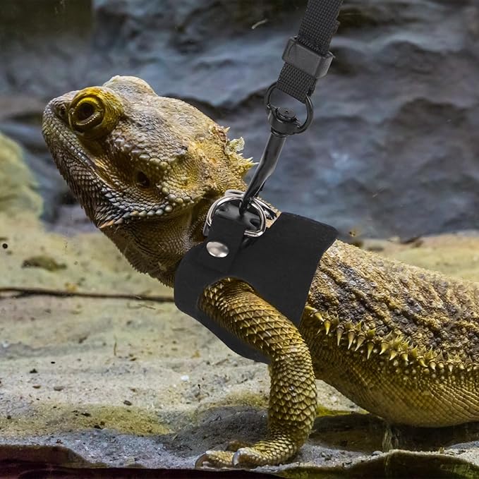 Bearded Dragon Leash and Harness Set, Reptile Walking Accessories Outdoor Safety Equipment for Small Pet Lizards Geckos and Chameleons