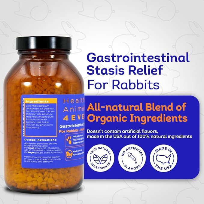 HA4E - Rabbit Gastrointestinal Stasis Treatment - Promotes Healthy Digestion & GI Stasis Relief -Natural Homeopathic Digestive Health Tablets - Pellets, Hutch Size (Extra Large)