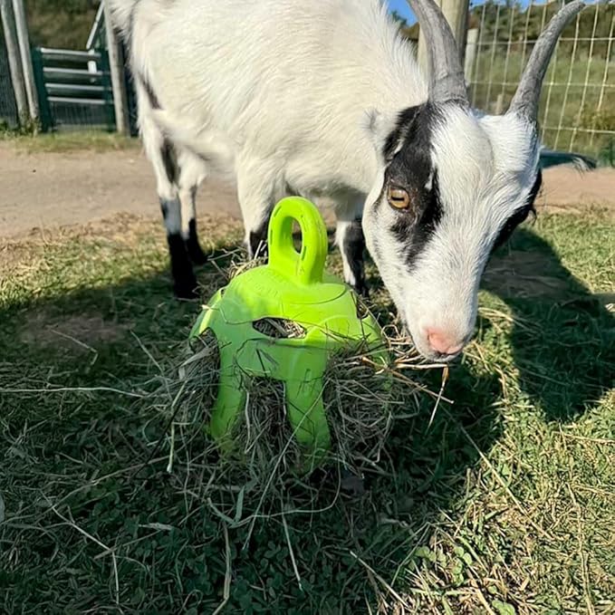 Horsemen's Pride Jolly Hay Ball Stall Toy for Horses, Green