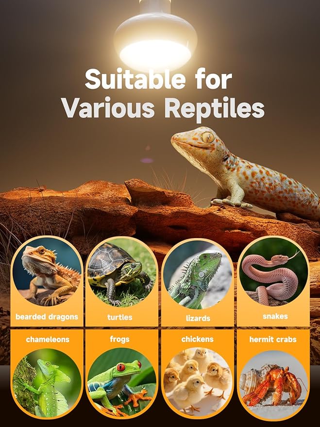 Reptile Heat Lamp,2 Pack 100W Basking Light Bulb with UVA Simulated Sunlight, 3000+ Hours Lifespan, Efficient Heating & Easy Installation for Bearded Dragon, Turtle, Lizard, Snake, Gecko & Chicken
