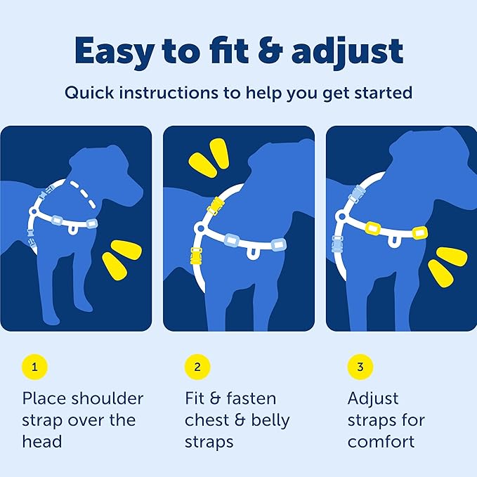 PetSafe Easy Walk Deluxe Dog Harness, No Pull Dog Harness – Perfect for Leash & Harness Training – Stops Pets from Pulling and Choking on Walks – Large, Steel