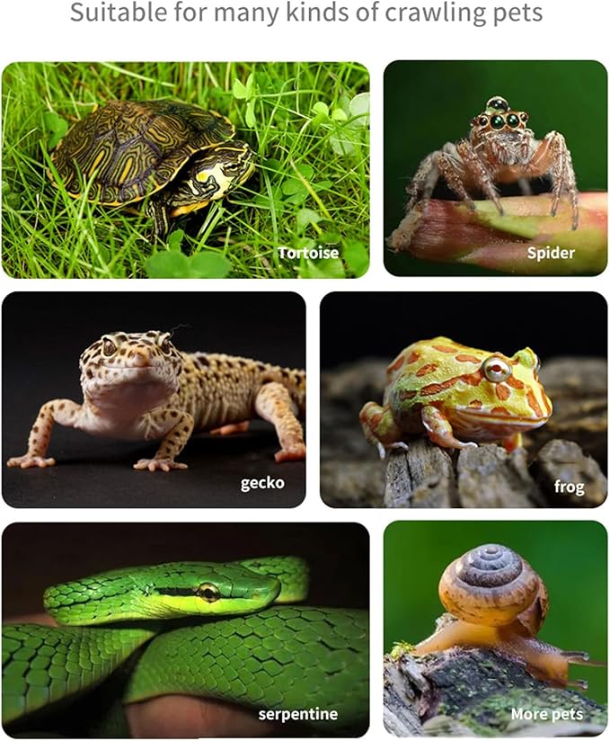 Turtle Water Enclosure | Turtle Pool | Turtle Swimming Pool | Turtle Habitat | Turtle Water Enclosure |Turtle Soaking Pool | Turtle Pool | Turtle Water Feature | Aquatic Turtle Pool | Turtle bask