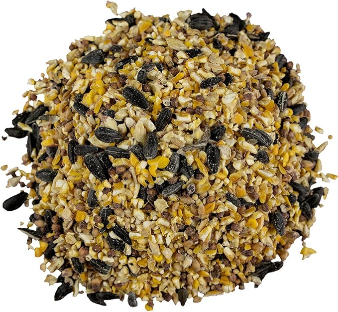 Classic Bird Seed (10 Pounds, Everyday Economy)