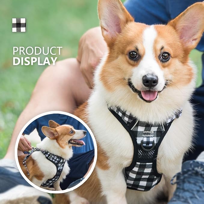 PoyPet No Pull Dog Harness, [Neck Release] Reflective Adjustable No Choke Pet Vest with Front & Back 2 Leash Attachments, Soft Control Training Handle for Small Dogs(Grid,M)