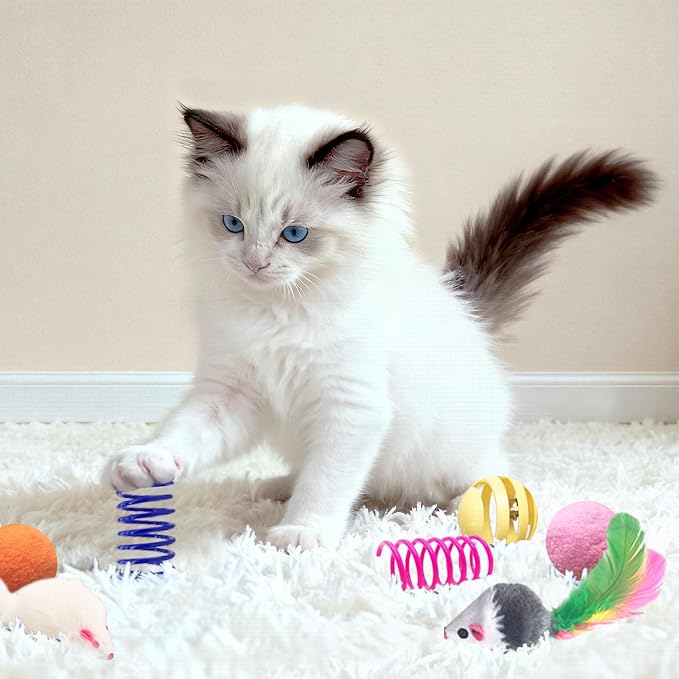 Cat Toys for Indoor Cats, 35 Packs Interactive Cat Toys Set for Kitten - Image 5