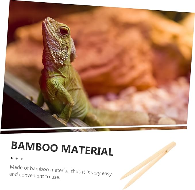Garneck Bamboo Reptile Tweezer Pet Feeding Tool for Lizards Turtles Small Reptiles