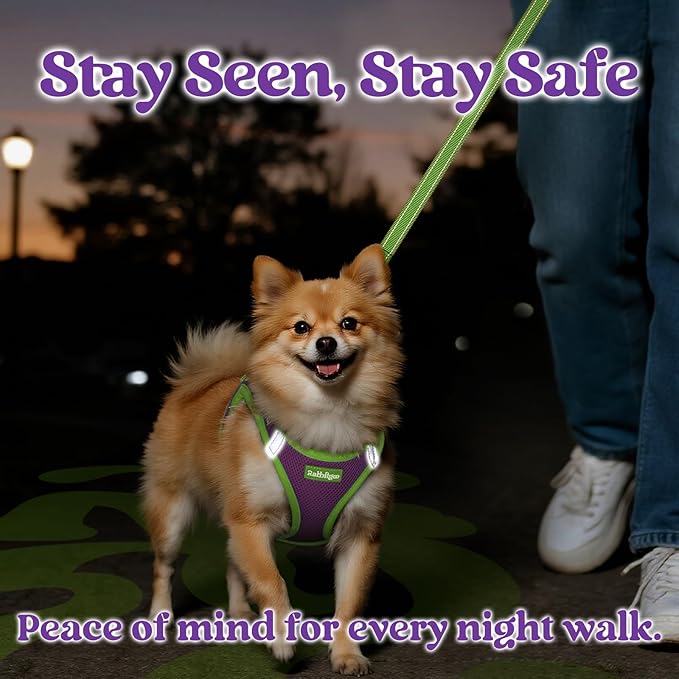 rabbitgoo Dog Harness Small Sized and Leash Set, Step-in Breathable Pet Harness, Soft Walking Reflective Puppy Vest for Small Dogs, Purple & Green, L