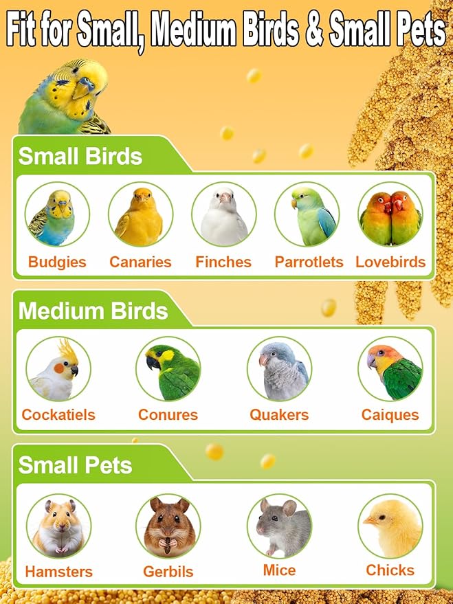 MEWTOGO Spray Millet & Cuttlebone Bird Treats Set - 1lb Hand Selected Golden Millet Treats for Parakeets Cockatiel Lovebirds Canaries Finches, Energy & Calcium Boost
