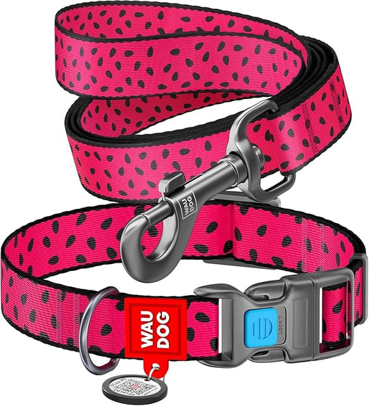 Nylon Dog Collar and Leash Set - Adjustable Dog Collar for Large Dogs, Small & Medium Dogs - Puppy Collars for Large Breed - Boy & Girl Collars with Durable Plastic Buckle and QR Tag