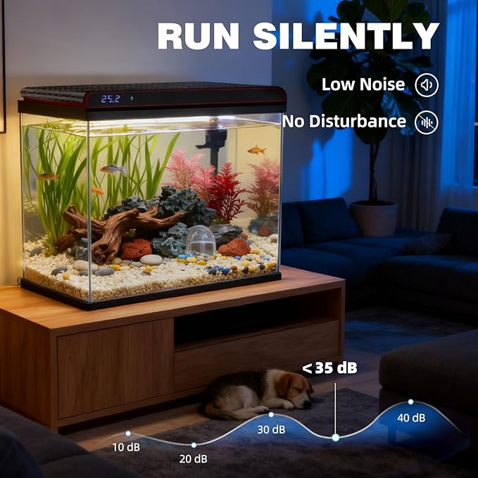 Coospider 20 Gallon Glass Fish Tank, Aquarium Starter Kit with Quiet Filter Pump, 3-Color LED Lights, Simple Self-Cleaning Aquarium with Temp Monitoring for Betta Fish, Shrimp, Kids Gift Idea