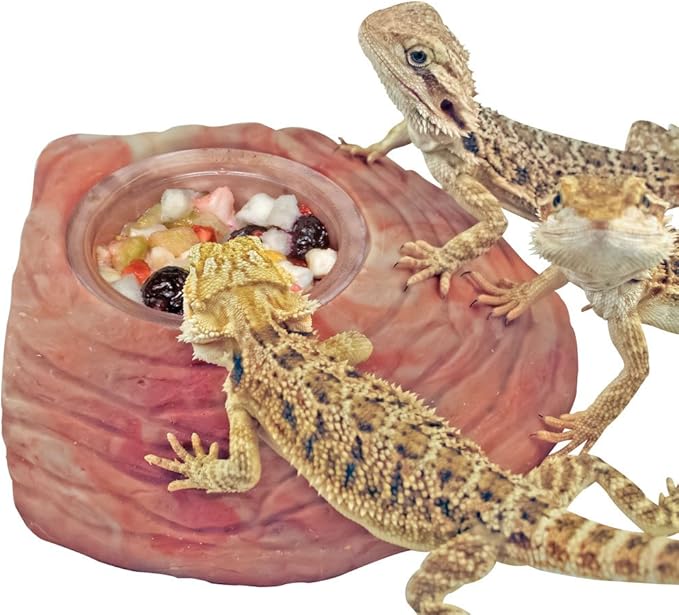 Healthy Herp Fruit Mix Instant Meal Reptile Food - Bearded Dragon Accessories & Bearded Dragon Food - Nutritious Blend for Bearded Dragons, Box Turtles, Tortoises, Hermit Crabs - 3.5 oz (99g)