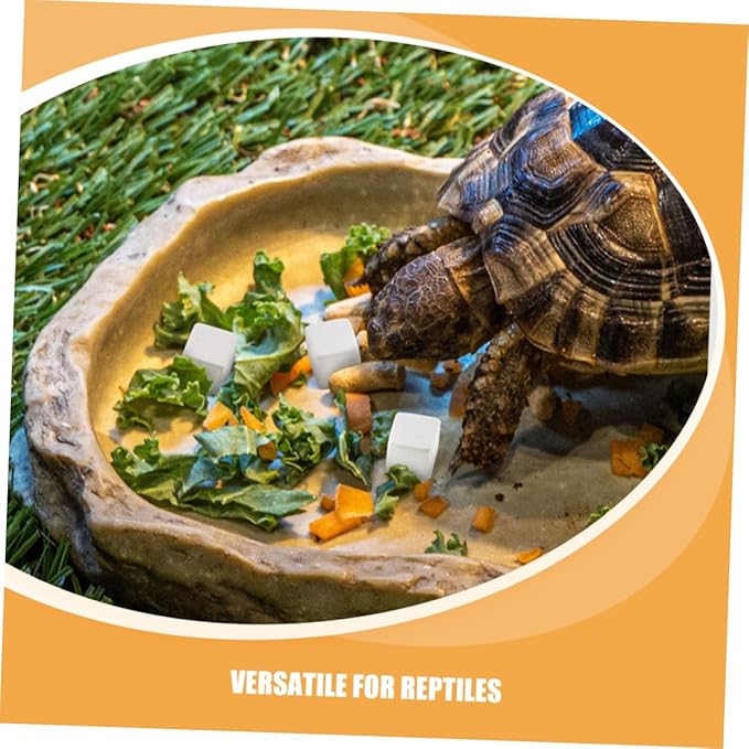30Pcs Natural for Turtles Tortoises Lizards Frogs Chameleons Enhances Growth and Care for Reptiles and Amphibians