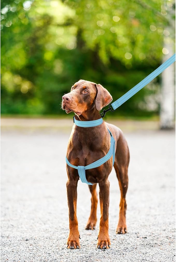 Mile High Life Night Reflective Double Adjustable Band Nylon Small Puppy Pet Dog Combo Collar Leash and Harness Set (Reflective Solid Blue, Large (Pack of 3))