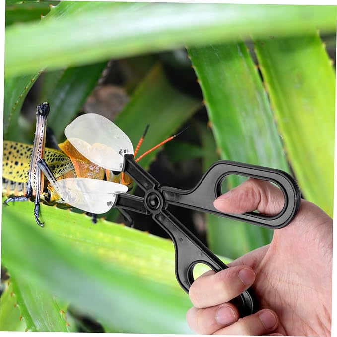 POPETPOP 6pcs Reptile Feeding Clip Flexible Cleaning Tool for Insect Feeding for Crickets and Locusts Comfortable Scissors Handle for and Breeding