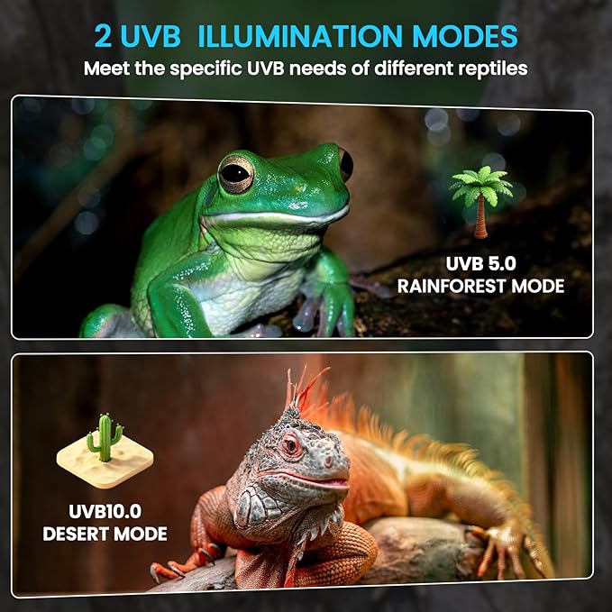 GlowUp UVB Reptile Light with Dimming, UVA UVB 10.0 Reptile Light Bulb Fixture for Rainforest&Desert Reptile UVB5.0&UVB10.0, Adjustable Brightness UVB Lamp for Bearded Dragon Gecko Lizard Turtle