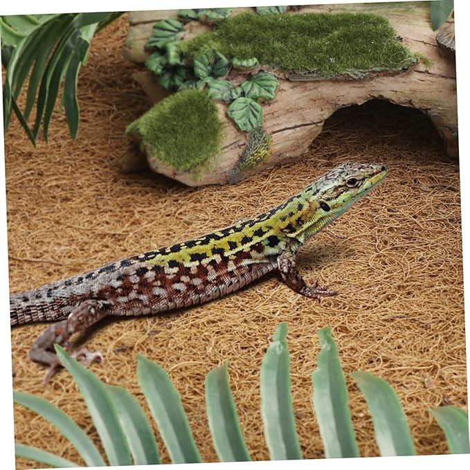 LIOOBO Natural Coconut Fiber Reptile Bedding Liner Snake Lizard Turtle Tank Mat Insulation Pad for Pet Terrariums