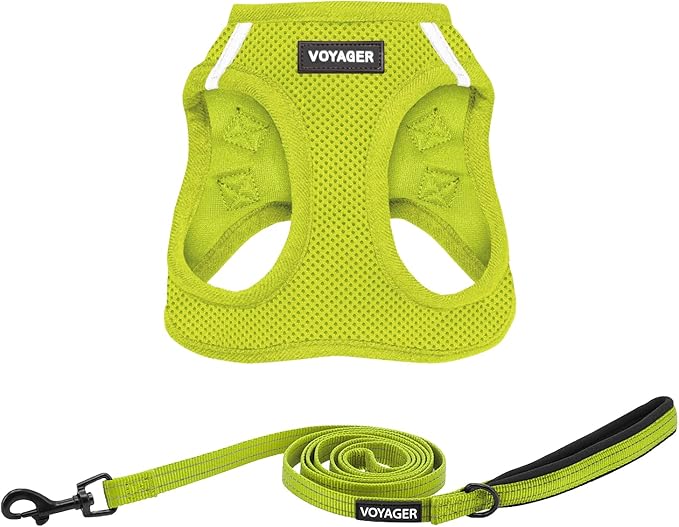 Best Pet Supplies Voyager Step-in Air All Weather Mesh Harness and Reflective Dog 5ft Leash Combo with Neoprene Handle, for Small, Medium and Large Breed Puppies - Set (Lime Green), Large