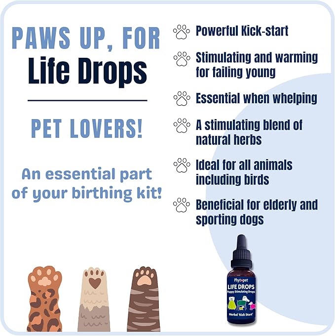 PhytoPet Life Drops | Natural Herbal Stimulant for Newborn & Elderly Pets | Ideal for Puppies, Kittens, Birds, Foals | 10ml