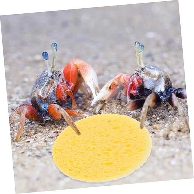 Mipcase 50pcs Crab Humidity Sponges Pet Crab Sponges Aquarium Supplies for Bathing Dish Cleaning