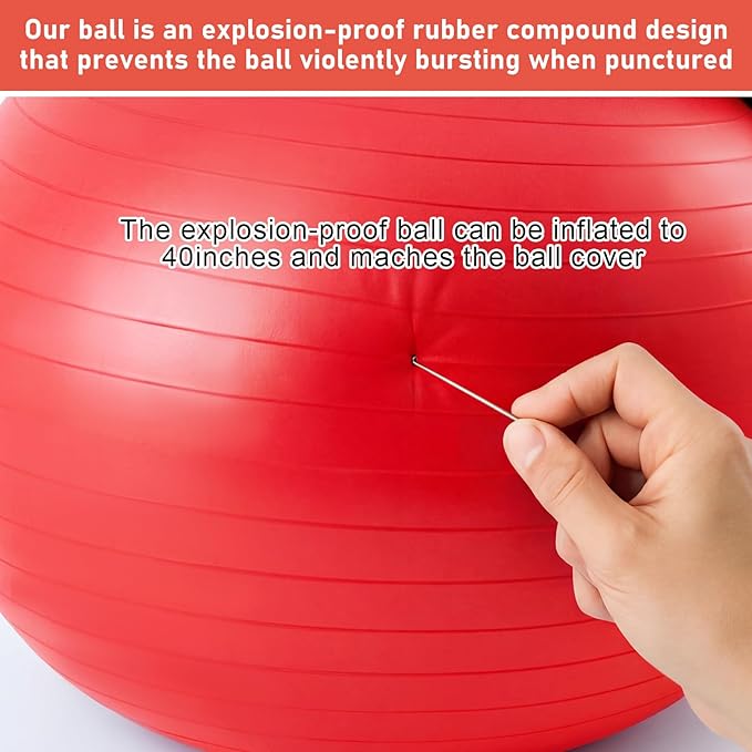40 Inch Giant Herding Ball with Ball Cover Anti Burst Please Watch VCR for How to Inflation Horse Toys for Horses Entertainment Play, Pump Included(Classic, Red)