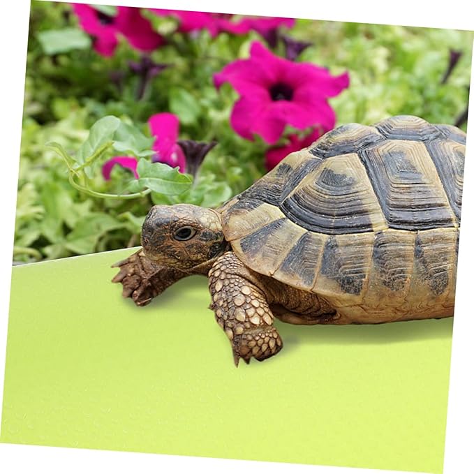 ORFOFE Reptile Carpet Terrarium Bedding Lizard Tank Accessories Reptile Substrate Eva Mat