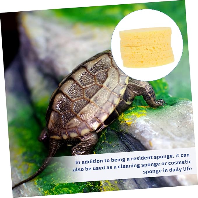 25pcs Crab Sponges for Humidity Maintenance Pet Tanks Multi-Purpose Cleaning and Makeup Use Unbleached Natural Sponges for Crabs and Other Pets