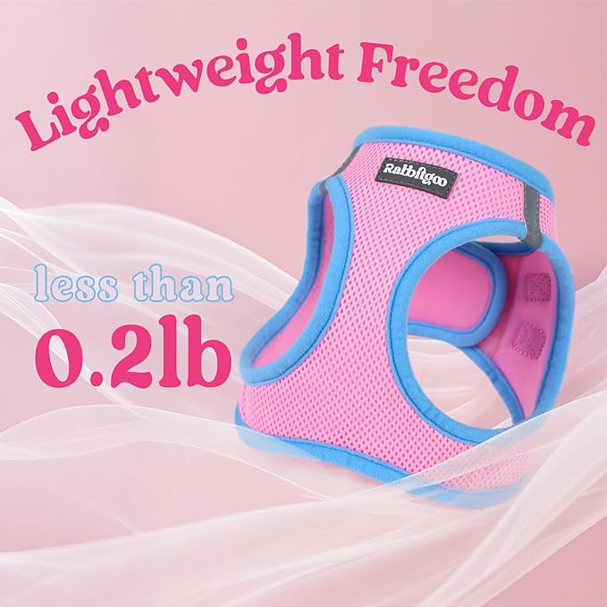 rabbitgoo Dog Harness Small Sized and Leash Set, Step-in Breathable Pet Harness, Soft Walking Reflective Puppy Vest for Small Dogs, Pink & Light Blue, M