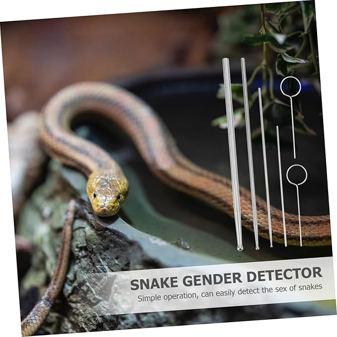 SUPVOX 6pcs Reptile Supplies Snake Snake Probe Gender Probe Ergonomic Handle Toy