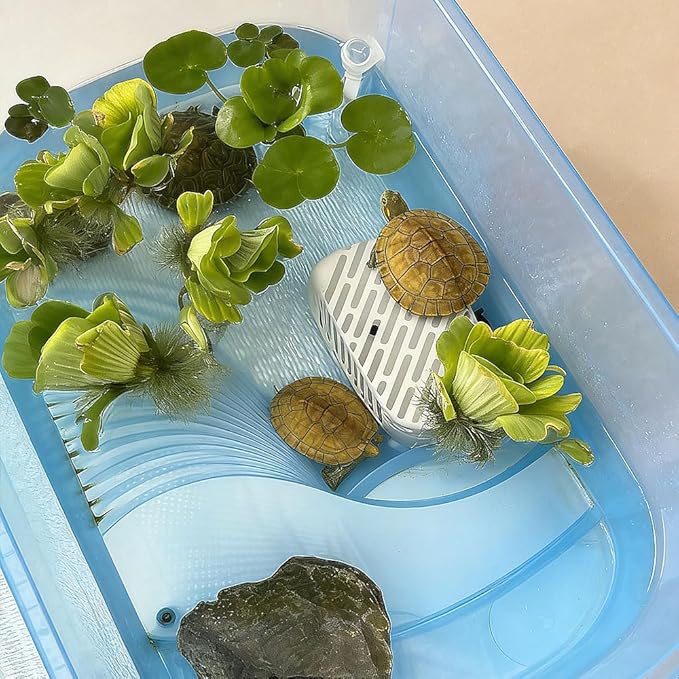 2pcs Turtle Tank Collector,Toilet Keep Tank Cleaning with Suction Cups Reptile Waste Container for Breeding Box Small Animals (2pcs White)