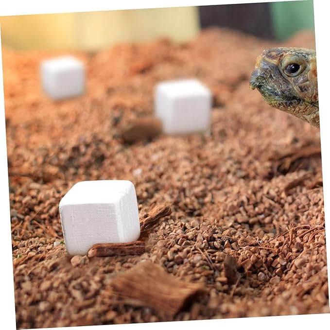 BESPORTBLE 30pcs Natural for Reptiles and Amphibians and Growth for Tortoise Turtle Lizard Frog and Chameleon Enrich Water Quality and Strengthen Immunity