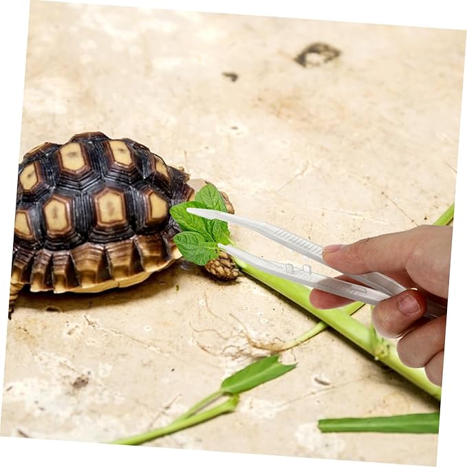 BESPORTBLE 2pcs Reptile Feeding Tweezers Clip Tweezers for Lizard Turtle and Frog Care Smooth Lightweight and Easy to Grip Reptile Feeder Tool