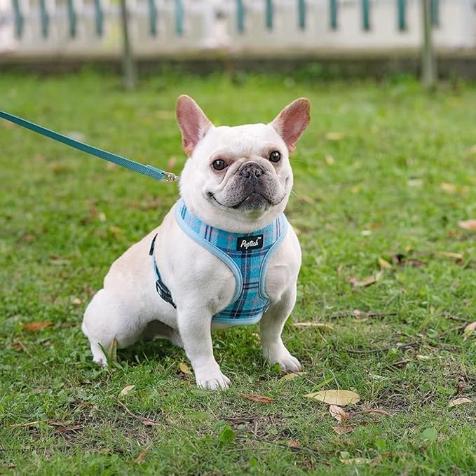 PUPTECK Soft Mesh Dog Harness and Leash Set Pet Puppy Cat Comfort Padded Vest No Pull Harnesses, Light Blue, XS