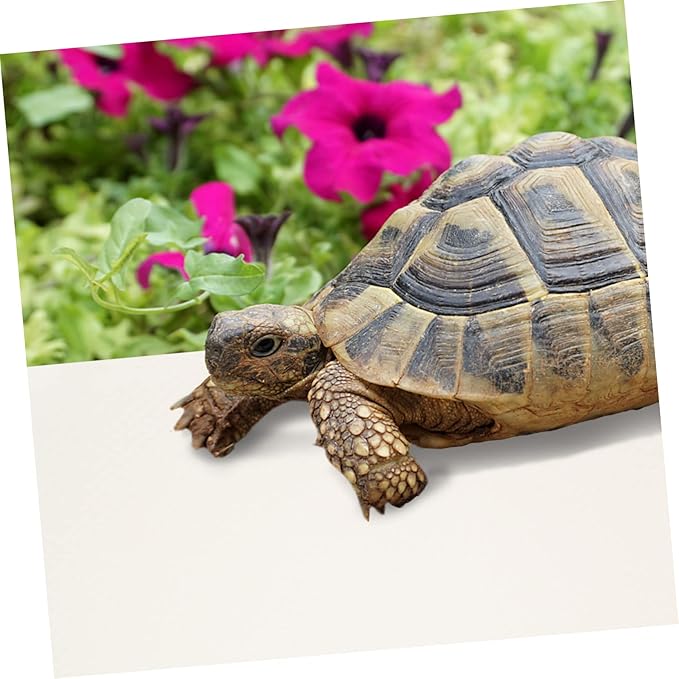 Toyvian Reptile Carpet Substrate for Terrariums Nonslip Reptile Mat for Leopard Geckos Bearded Dragons Snakes and Tortoises Easy to Clean and Cut to Fit
