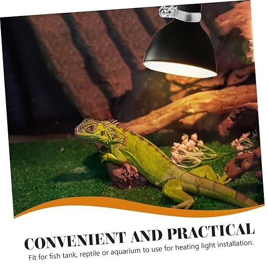 BESPORTBLE 2pcs Adjustable Clamp Lamp Holder for Reptile Heat Lamps Easy Installation Fixture for Tortoise Lighting Enhances Growth and Visibility
