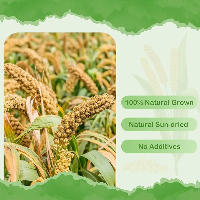 ERKOON 2.5LB Spray Millet Treat, All Natural Sun-Dried Healthy Treat Parrot Food Bird Snack for Parakeets, Lovebirds, Cockatiels, Finches, Budgies, Canaries Hamster, Bird Food Bulk