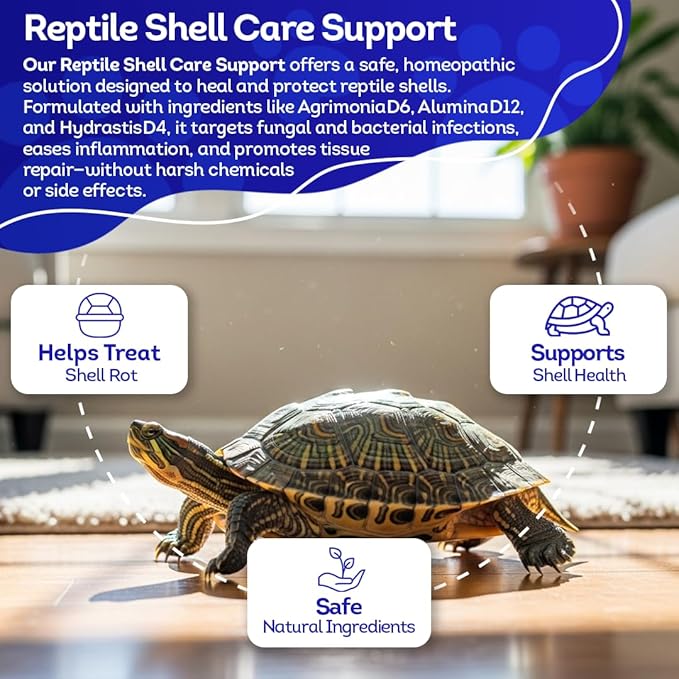 HealthyAnimals4Ever HA4E - Reptile Shell Care - Natural Support for Shell Rot, Tissue Repair & Healthy Shell Growth - Safe Homeopathic Formula - 300 Tablets