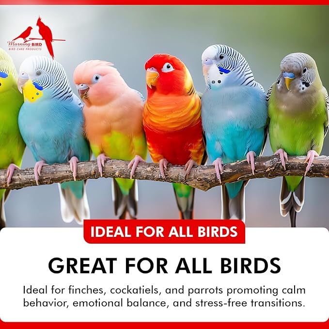 Morning Bird Mood Food 3 oz – Natural Calming Supplement for Birds – Non-Sedating - Unwanted Behavior, Feather Plucking & Aggression – Gentle Stress Relief Achieved with Amino Acids and B-Vitamins