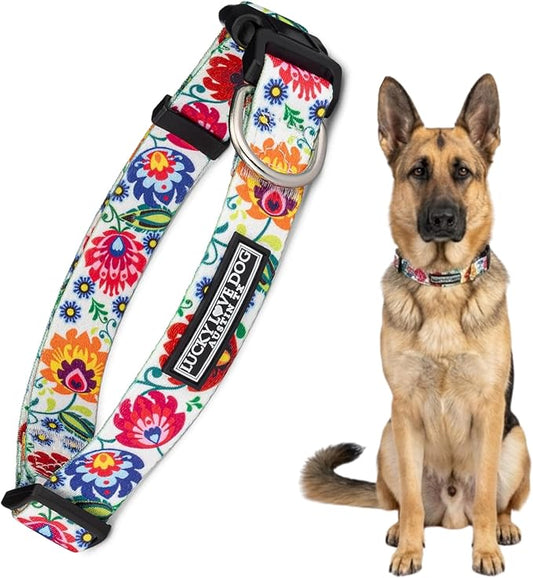 Lucky Love Dog - Adjustable Dog Collar with Easy Click Buckle for Medium, Durable, & Comfortable for Male & Female Dogs, Pet Collar for Puppies & Adult Dogs - Ladybird, Medium
