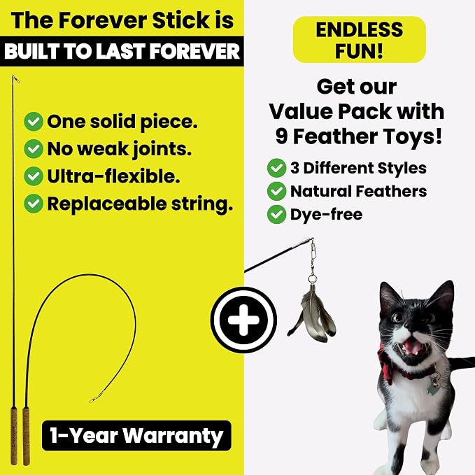 Forever Stick and 9 Cat Feather Toy Refills - The Unbreakable Cat Wand Toy, Durable Cat Toy Wand, Extra Long Cat String Toy, Cat Fishing Pole Toy for Bored Indoor Adult Cats, Cat Stick Toy - Image 7