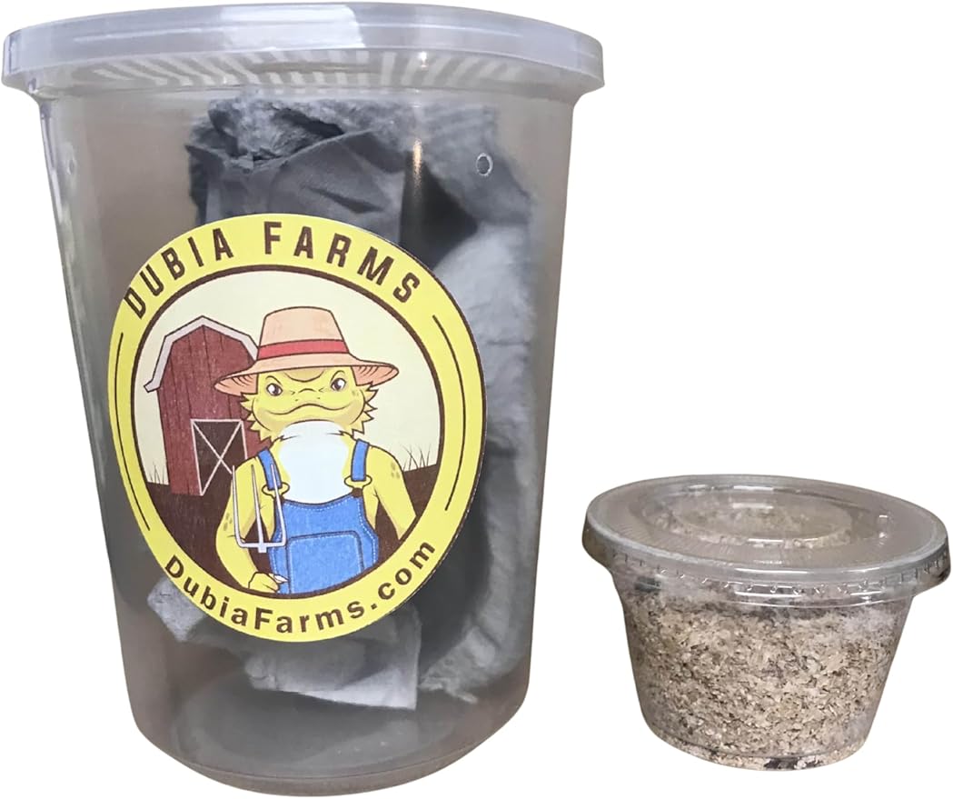 100 Medium Live Dubia Roaches + 25 Superworms Live Reptile Food for Bearded Dragons Turtles Lizards Frogs & Toads Feeder Insects in Container