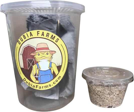 100 Medium Live Dubia Roaches + 25 Superworms Live Reptile Food for Bearded Dragons Turtles Lizards Frogs & Toads Feeder Insects in Container