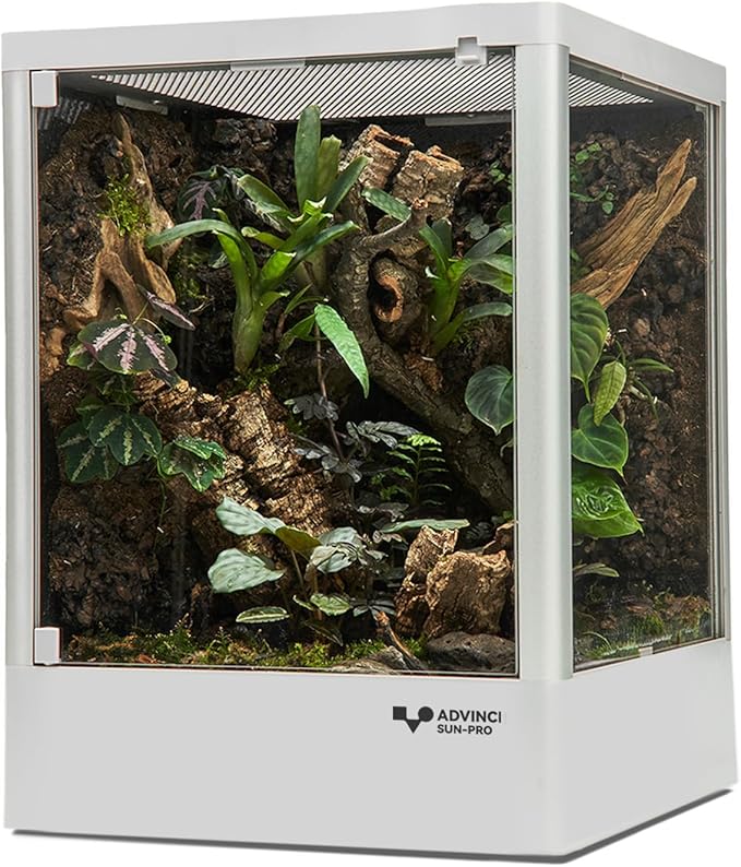 Reptile Terrarium 12"x12"x16" 9.5 Gallon,Aluminum Frame,Full Glass Tank Enclosure for Small Reptiles, Geckos, Frogs, Lizards, Snakes, Spiders, Turtles, Vertical Rainforest Habitat