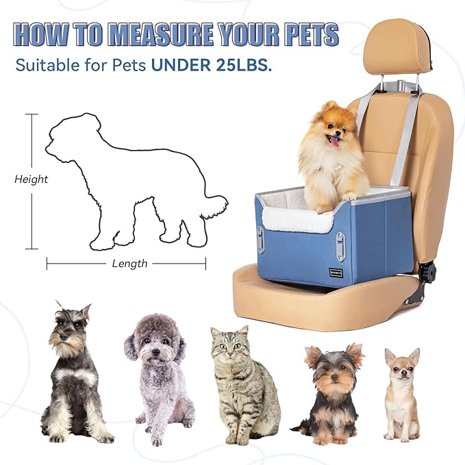 PETSFIT Dog Car Seats for Small Dogs–Patented Safety Buckles–Safety Tether–Foldable Travel Dog Booster Car Seat Reduces Anxiety & Road Trips–Stable Frame, Soft Cushion, Fits Front/Back Seat(Navy Blue)