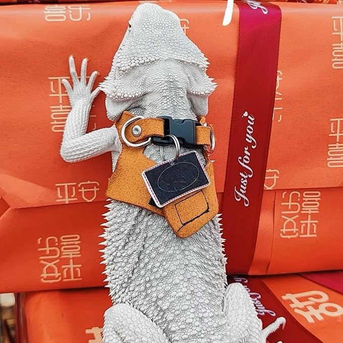 Bearded Dragon Harness Leash Set Harness 3PC S/M/L Soft Leather Vest Outdoor Walking Control Traction Rope for Lizard Reptile Iguana Gecko (Brown)