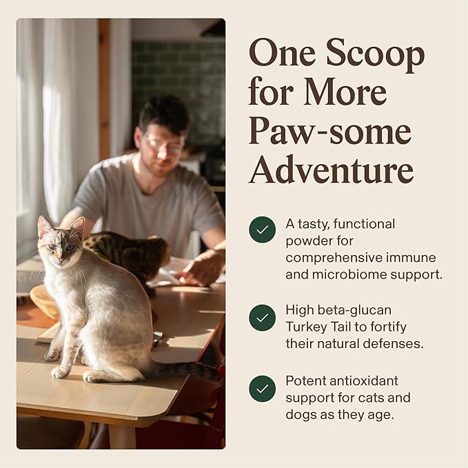 Real Mushrooms Turkey Tail with Qrill Pet - Turkey Tail Mushroom for Dogs with Krill Meal for Dogs and Cats - Beta-Glucan Rich Mushroom Extracts Immune & Gut Support for Puppies and Kittens, 75g