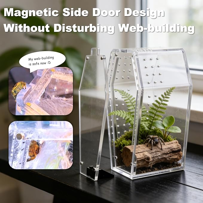Jumping Spider Enclosure,Jumping Spider Enclosure Desktop Habitat,Terrarium (Enclosure Only)