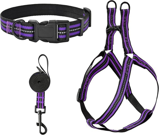 Mile High Life Night Reflective Double Adjustable Band Nylon Small Puppy Pet Dog Combo Collar Leash and Harness Set (Reflective Stripe Purple, Small (Pack of 3))
