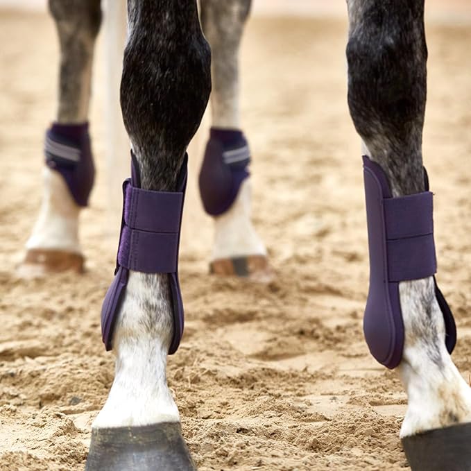 HORZE Adepto Open Front Tendon Boots | Durable Shell with Neoprene Lining - Blackcurrant Purple - Pony